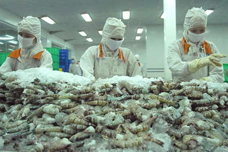 31 doanh nghiệp Việt Nam xuất khẩu tôm sang Mỹ hưởng mức thuế 0%