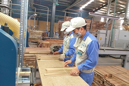 Quản lý xuất nhập khẩu gỗ đối mặt hàng loạt rủi ro