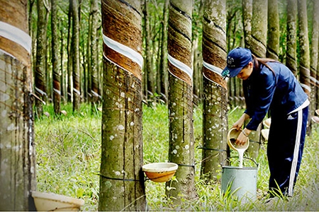 Những nhóm hàng xuất nhập khẩu cao nhất trong 9 tháng