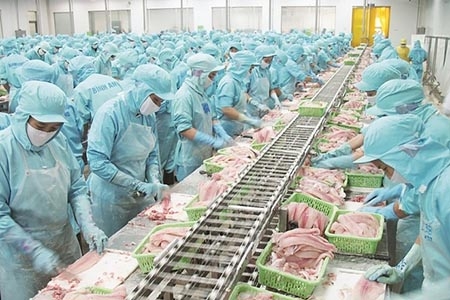 Thị trường Trung Quốc, Hồng Kông “cứu” giá cá tra xuất khẩu
