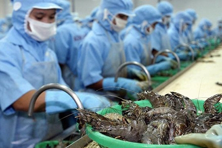 Cuối năm xuất khẩu tôm và cá ngừ đảo chiều nhích nhẹ