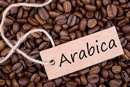 Giá cà phê arabica sẽ phục hồi trong năm 2020