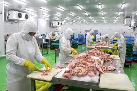 Thịt gà rộng đường xuất khẩu
