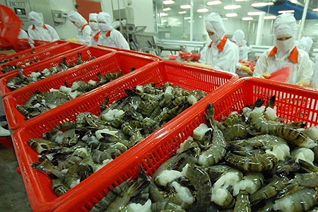 EVFTA: Tôm xuất khẩu vào EU đươc giảm thuế