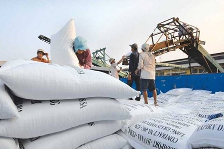 Gạo, đồ gỗ, da giày tăng trưởng xuất khẩu cao trong tháng 2/2020