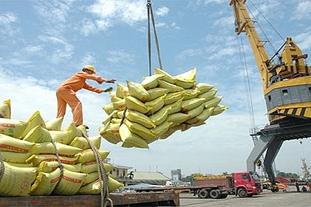 Chuẩn bị điều kiện cần thiết tận dụng cơ hội xuất khẩu khi EVFTA có hiệu lực
