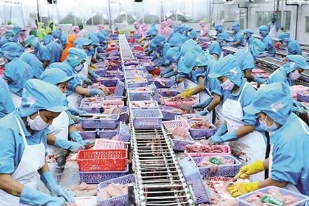 Hàng đông lạnh xuất khẩu “lên ngôi”