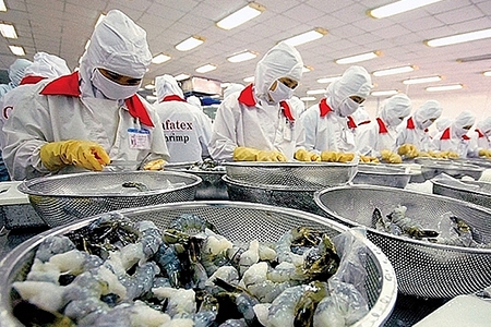EU đóng cửa biên giới: Lưu thông hàng hóa Việt Nam – EU vẫn tiếp tục duy trì