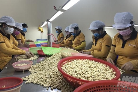 Sử dụng chứng thư điện tử khi xuất khẩu vào EU
