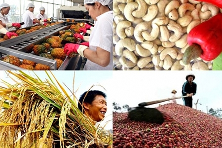 Doanh nghiệp Việt Nam xuất khẩu nông sản sang EU phải sử dụng chứng thư điện tử