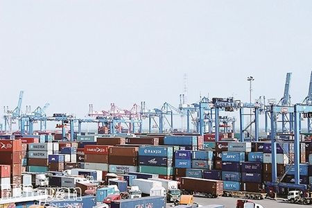 Tạo thuận lợi xuất khẩu hàng đông lạnh qua cảng Cát Lái