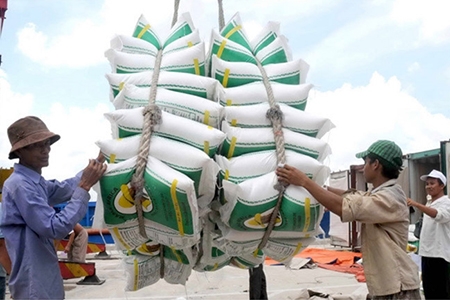 Giữ nguyên đề nghị xuất khẩu 400.000 tấn gạo trong tháng 4
