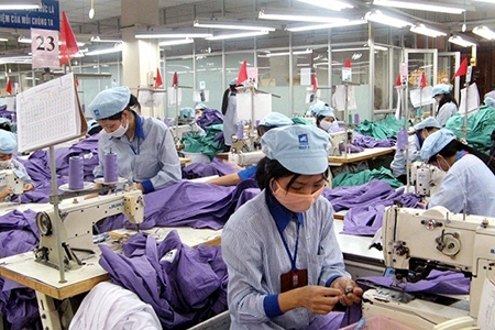 Đẩy nhanh tiến độ đăng ký mã số REX cho doanh nghiệp xuất khẩu theo quy định của EU