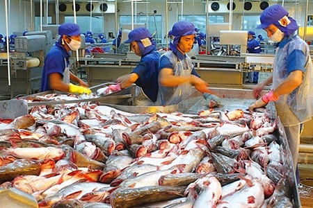 Tiềm năng xuất khẩu thủy hải sản sang thị trường Algeria