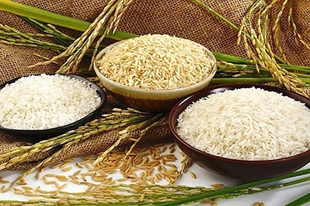 Châu Phi sẽ ngày càng phụ thuộc vào nhập khẩu thực phẩm đến năm 2029