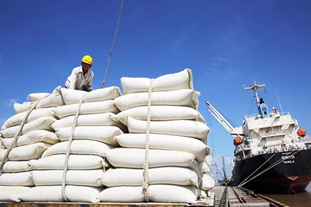 9 giống gạo thơm sẵn sàng