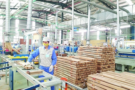 Đã có quy định gỗ hợp pháp, gỗ Việt
