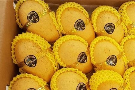 Hoa Kỳ tăng nhập khẩu xoài các loại từ Việt Nam