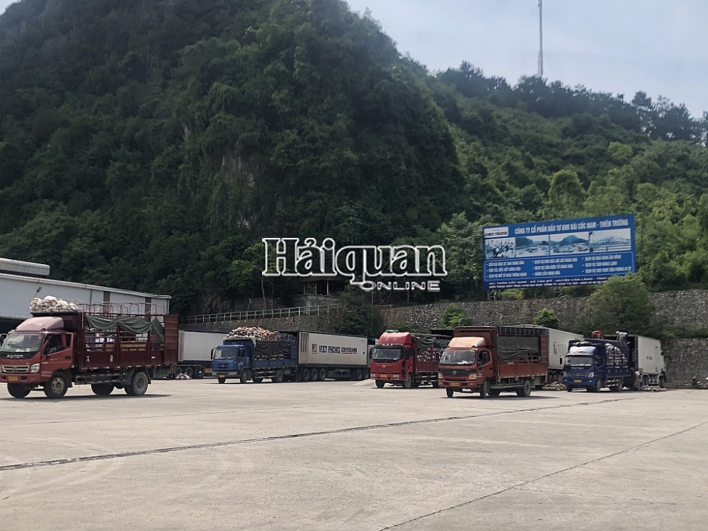 Tại bãi Thiên Trường hiện có 5 xe hàng là quả mít tươi đang được các DN Trung Quốc bốc xếp, sang tải. Ảnh: H.Nụ Tại bãi Thiên Trường hiện có 5 xe hàng là quả mít tươi đang được các DN Trung Quốc bốc xếp, sang tải. Ảnh: H.Nụ