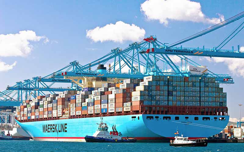 Liners Turn to Surcharges as Reefers Get Diverted amid Plug Shortage at Chinese Ports
