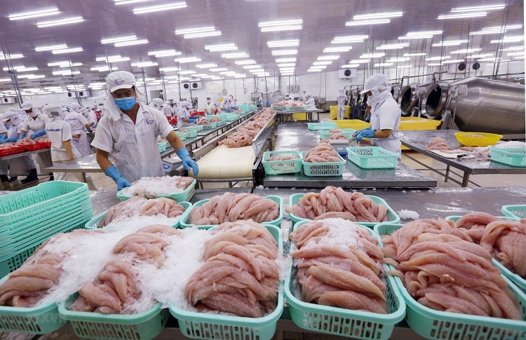 Đưa hàng hóa sang EU: Cửa rộng, tường cao và áp lực cải cách Đưa hàng hóa sang EU: Cửa rộng, tường cao và áp lực cải cách