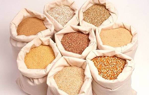 Đề xuất tạm ngừng đưa Giấy CFS vào hồ sơ kiểm tra chất lượng thức ăn chăn nuôi