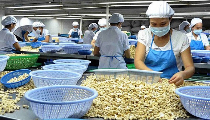 Xuất khẩu điều nhân hướng tới mục tiêu 450 nghìn tấn