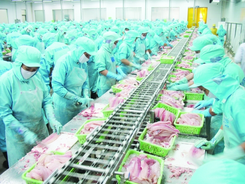 Yêu cầu đối với hàng thủy sản xuất khẩu vào Trung Quốc