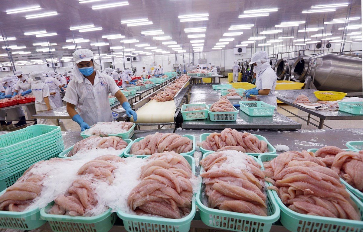 Xuất khẩu cá tra khởi sắc ngay từ quý đầu năm