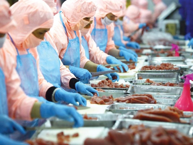 EVFTA tạo ra cơ hội và sức cạnh tranh mới từ thị trường châu Âu EVFTA tạo ra cơ hội và sức cạnh tranh mới từ thị trường châu Âu