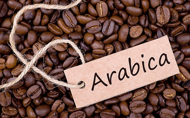 Giá cà phê arabica sẽ phục hồi trong năm 2020