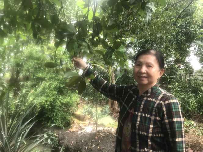 Bà Út Nhiều trong vườn măng cụt nhà mình tại An Sơn 