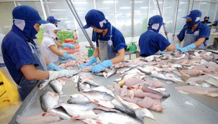 Xuất khẩu cá tra