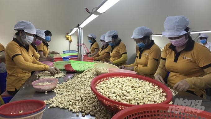 Sử dụng chứng thư điện tử khi xuất khẩu vào EU