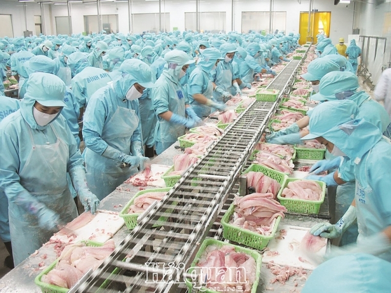 Thị trường Trung Quốc, Hồng Kông “cứu” giá cá tra xuất khẩu