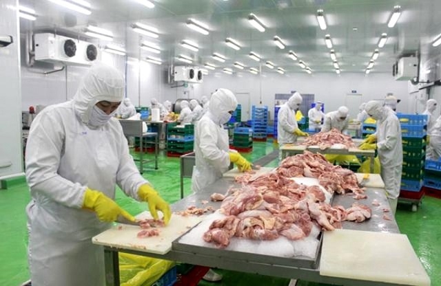 Thịt gà rộng đường xuất khẩu