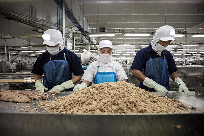 Người Mỹ, EU thích ăn cá ngừ, tôm tẩm bột Việt Nam Người Mỹ, EU thích ăn cá ngừ, tôm tẩm bột Việt Nam