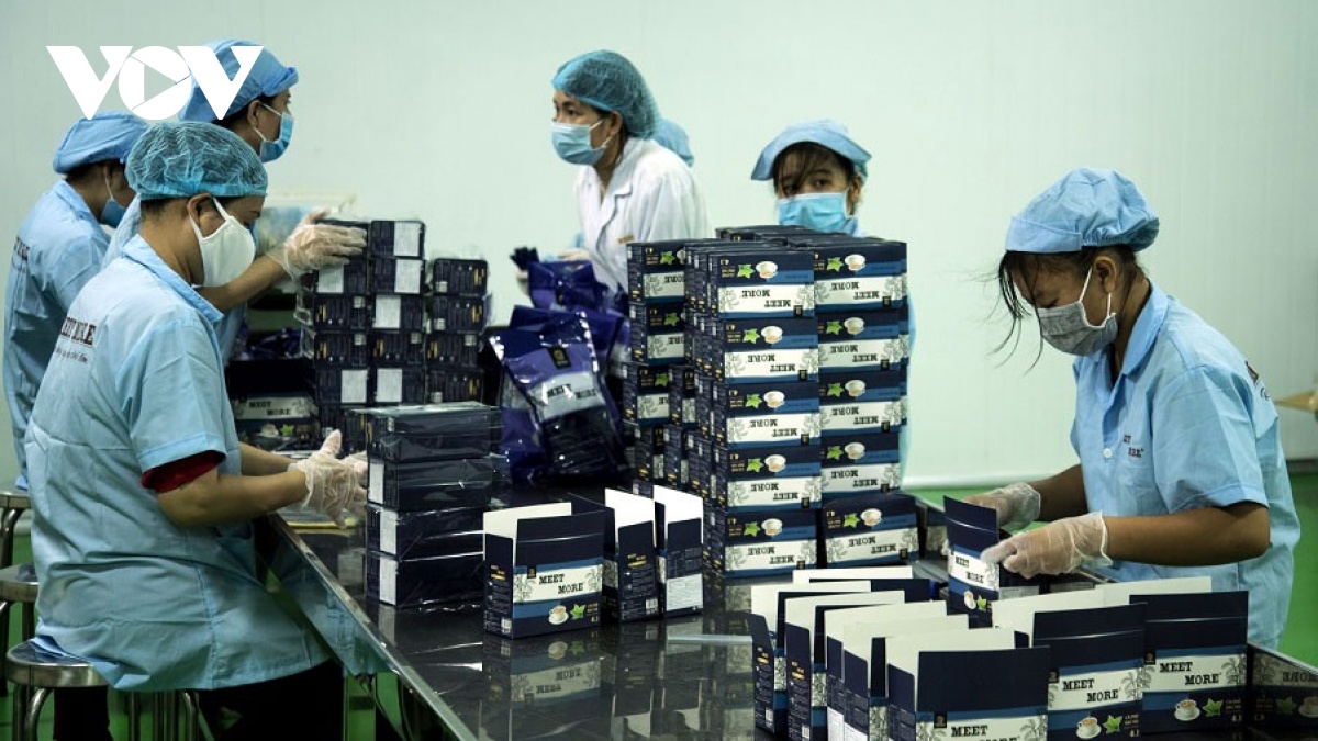 Sản phẩm khác biệt tạo con đường mới vào thị trường EU Sản phẩm khác biệt tạo con đường mới vào thị trường EU