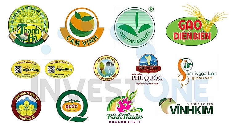 Nhiều sản phẩm nông sản Việt Nam được chỉ dẫn địa lý Nhiều sản phẩm nông sản Việt Nam được chỉ dẫn địa lý