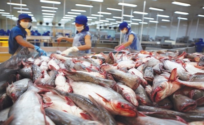 Thuế chống bán phá giá cá tra xuất khẩu sang Mỹ giảm mạnh Thuế chống bán phá giá cá tra xuất khẩu sang Mỹ giảm mạnh