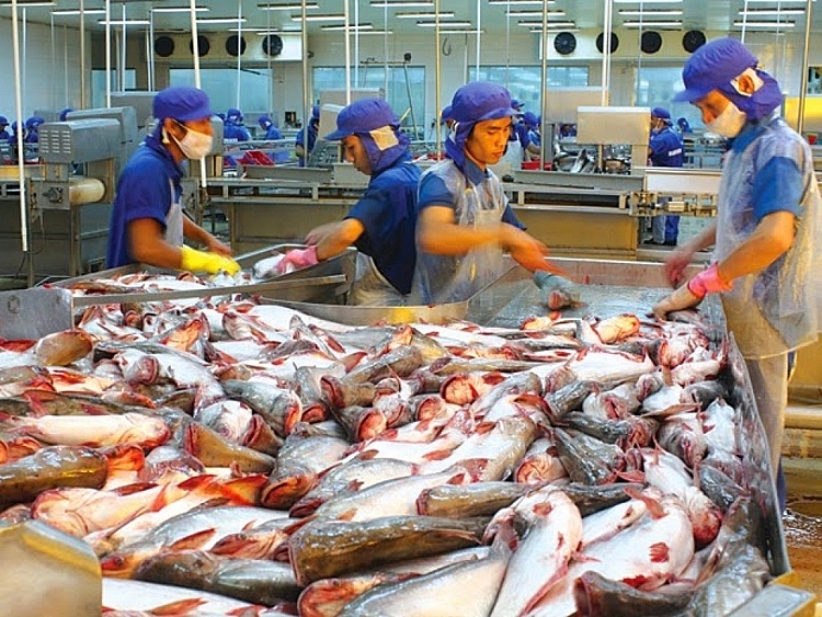 Thủy hải sản luôn nằm trong tốp 5 mặt hàng xuất khẩu lớn nhất của Việt Nam sang Algeria Thủy hải sản luôn nằm trong tốp 5 mặt hàng xuất khẩu lớn nhất của Việt Nam sang Algeria