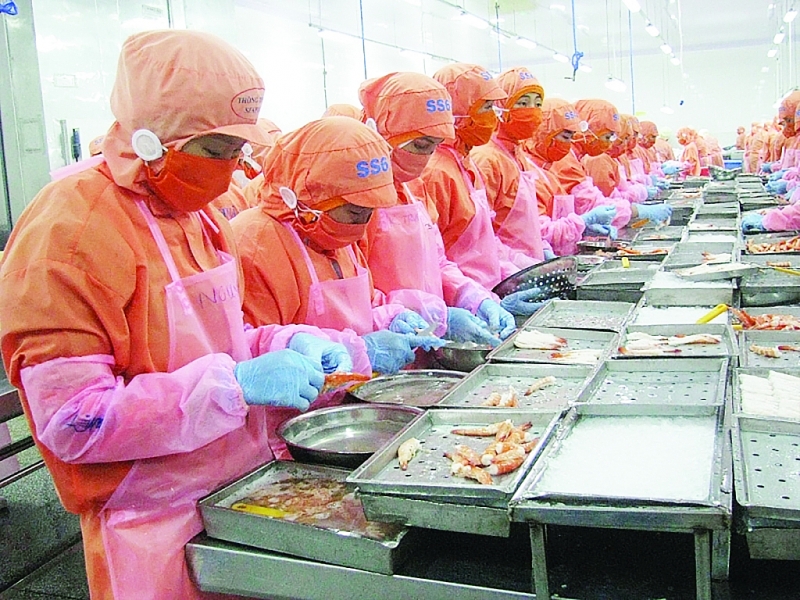 Tiềm năng xuất khẩu tôm sang Canada Tiềm năng xuất khẩu tôm sang Canada