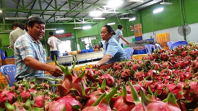 Những loại trái cây được canh tác theo các quy trình sản xuất an toàn sẽ có nhiều cơ hội tại thị trường EU
