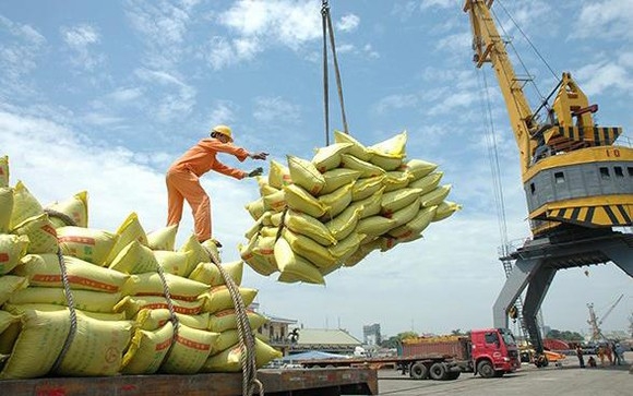 Lượng gạo Việt Nam có thể xuất khẩu trong năm nay khoảng 6,5-6,7 triệu tấn. Nguồn: Internet Lượng gạo Việt Nam có thể xuất khẩu trong năm nay khoảng 6,5-6,7 triệu tấn. Nguồn: Internet
